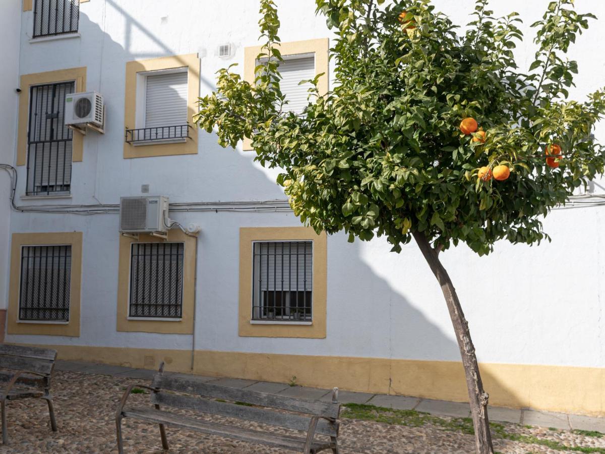 Nayber Gavia - Nuevo y céntrico apartamento en Córdoba Exterior foto